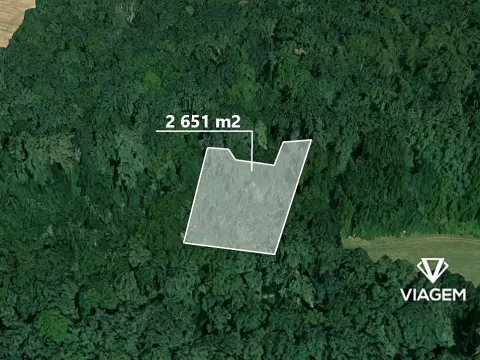 Prodej podílu lesa, Přerov nad Labem, 1325 m2