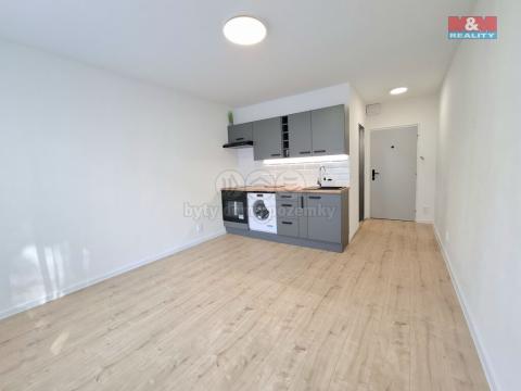 Prodej bytu 1+kk, Karlovy Vary - Drahovice, Boženy Němcové, 20 m2