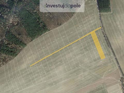 Prodej pole, Hřebečníky - Novosedly, 3029 m2