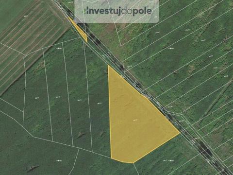 Prodej pole, Štítov, 11770 m2