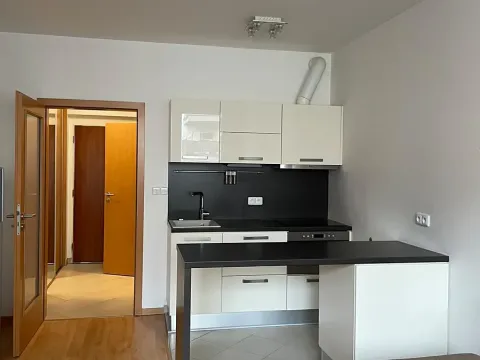 Pronájem bytu 1+kk, Praha - Zličín, Tulešická, 30 m2