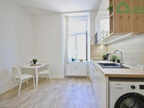 Pronájem bytu 1+kk, Brno, Palackého třída, 24 m2