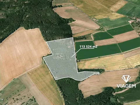 Prodej podílu lesa, Palonín, 18900 m2