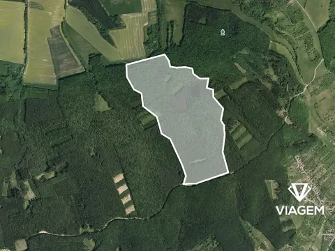 Prodej podílu lesa, Nedachlebice, 11622 m2