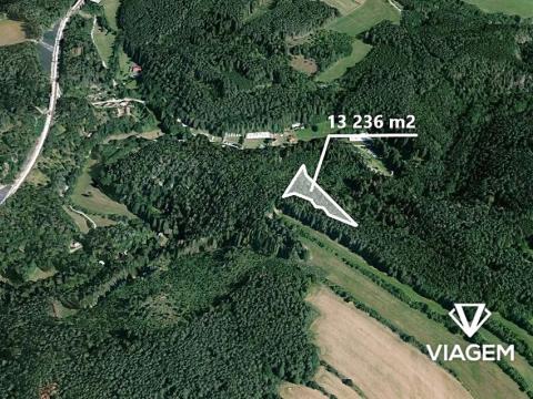 Prodej podílu lesa, Kuřimská Nová Ves, 4412 m2