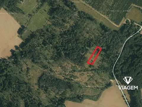 Prodej podílu lesa, Vilémov, 696 m2