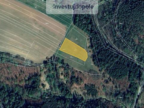 Prodej louky, Chrášťany - Koloměřice, 2221 m2