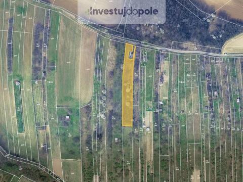 Prodej louky, Klobouky u Brna, 1680 m2