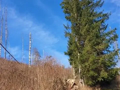 Prodej pozemku, Onšov, 809 m2