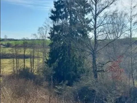 Prodej pozemku, Onšov, 334 m2