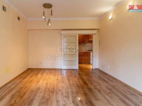 Pronájem bytu 2+kk, Praha - Žižkov, Biskupcova, 46 m2