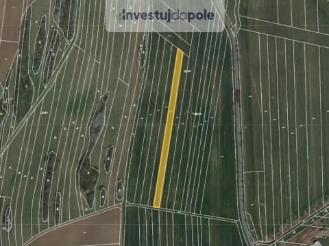 Prodej pole, Ostrov u Macochy, 3708 m2
