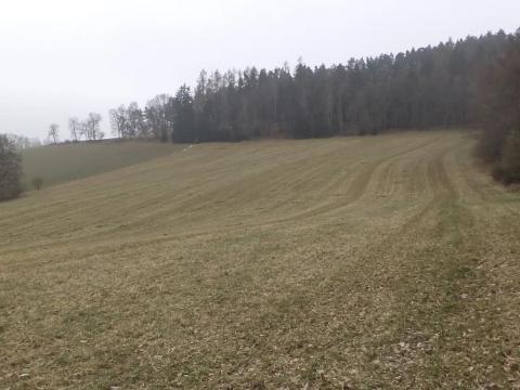 Dražba pole, Zvěstov, 22737 m2