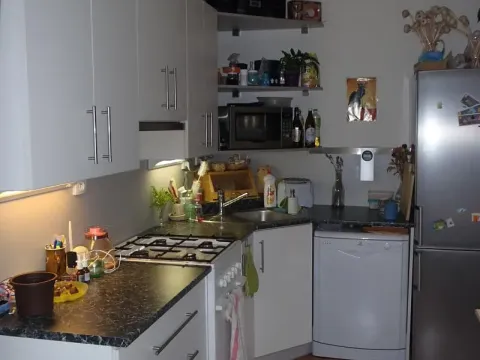 Pronájem bytu 3+1, Litvínov, Tylova, 64 m2