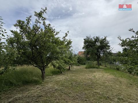 Prodej zahrady, Podbořany - Buškovice, 351 m2