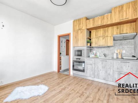 Pronájem bytu 1+1, Karviná, Kašparova, 37 m2