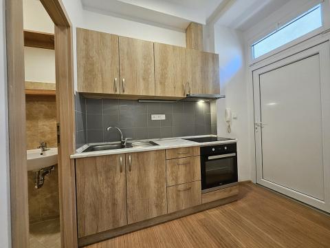 Pronájem bytu 1+kk, Brno, Cejl, 25 m2