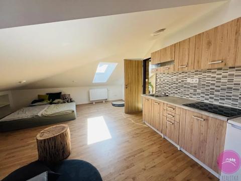 Pronájem bytu 1+kk, Olomouc, Uhelná, 40 m2