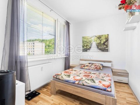 Prodej bytu 3+1, Ústí nad Labem - Mojžíř, Peškova, 65 m2