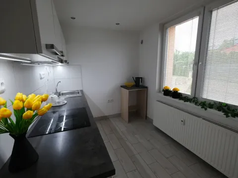 Pronájem bytu 3+1, Uherský Brod, 72 m2