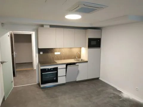 Pronájem bytu 1+kk, Brno, Budínská, 26 m2