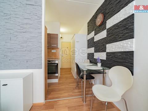 Pronájem bytu 1+kk, Aš, Dobrovského, 19 m2
