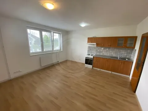 Pronájem bytu 2+kk, Dobrá Voda u Českých Budějovic, U Rybníka, 29 m2