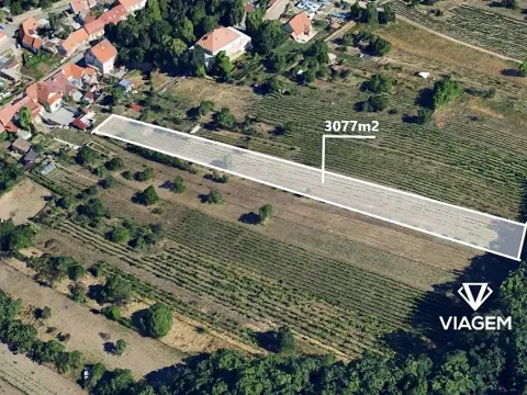 Prodej zahrady, Mikulov, 3077 m2