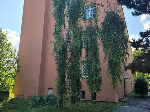 Prodej bytu 2+1, Brno, Neumannova, 60 m2