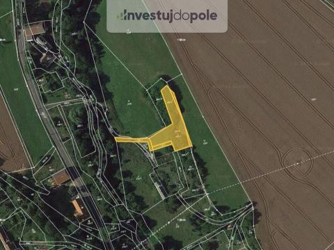 Prodej louky, Chyjice, 1459 m2