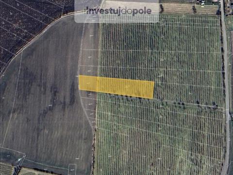 Prodej pozemku, Liběšice - Soběnice, 6302 m2