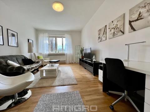 Pronájem bytu 3+1, Brno, Lipová, 79 m2