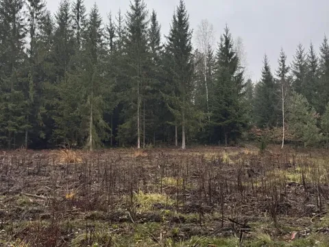 Prodej podílu pozemku, Veliny, 16991 m2