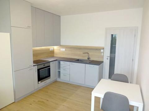 Pronájem bytu 1+kk, Brno, Wainerovo náměstí, 38 m2