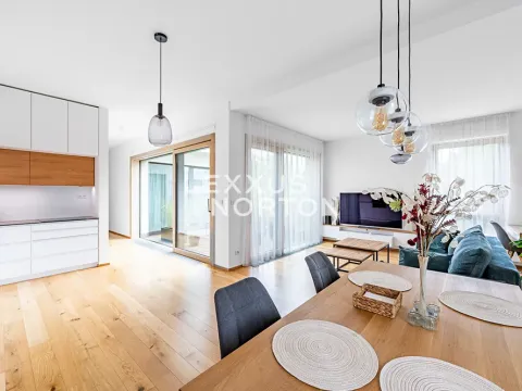 Pronájem bytu 2+kk, Praha - Břevnov, Radičova, 90 m2