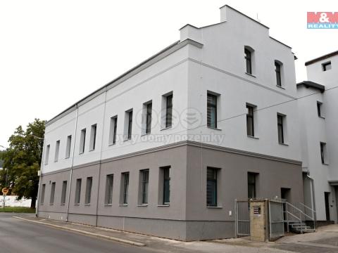 Pronájem kanceláře, Ústí nad Labem - Ústí nad Labem-centrum, Na Luhách, 43 m2