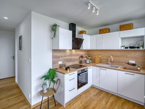 Pronájem bytu 3+1, Chomutov, Vítězslava Nezvala, 65 m2