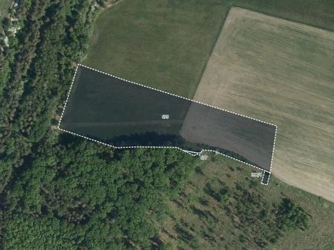 Prodej louky, Újezd u Sezemic, 17371 m2