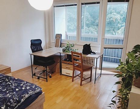 Pronájem bytu 1+kk, Hradec Králové - Slezské Předměstí, Třebechovická, 31 m2