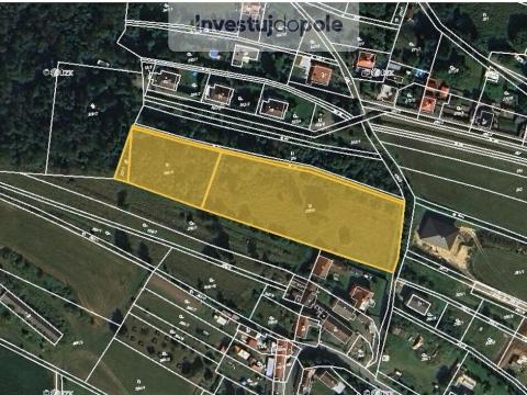 Prodej louky, Pavlíkov - Ryšín, 3638 m2