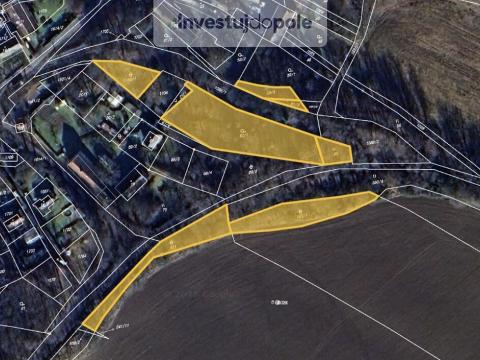 Prodej zahrady, Planá - Kříženec, 4113 m2