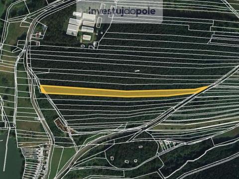 Prodej lesa, Lužná, 10470 m2
