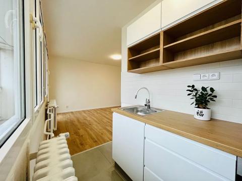 Pronájem bytu 1+kk, Slaný, Všehlušická, 27 m2