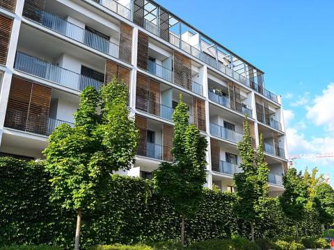 Pronájem bytu 1+kk, Olomouc, Rokycanova, 32 m2
