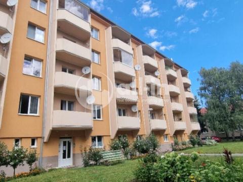 Prodej bytu 2+1, Vyškov - Vyškov-Předměstí, Sochorova, 56 m2