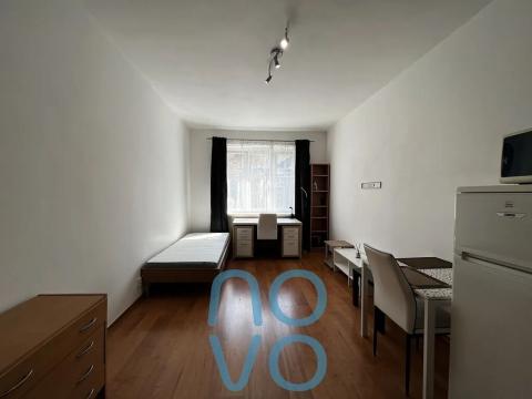 Pronájem bytu 1+kk, Praha - Žižkov, Biskupcova, 26 m2