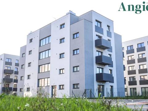 Prodej bytu 1+kk, Heřmanova Huť, U Pondu, 35 m2