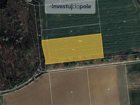 Prodej pole, Chýnice, 2550 m2