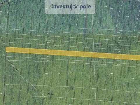Prodej pole, Uhy, 1184 m2