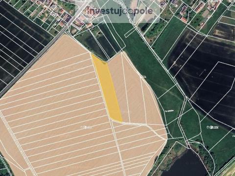 Prodej pole, Babice, 1682 m2
